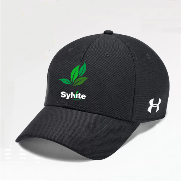 Embroidered UA Fitted Cap